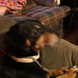 Meet your Posher, Ashley